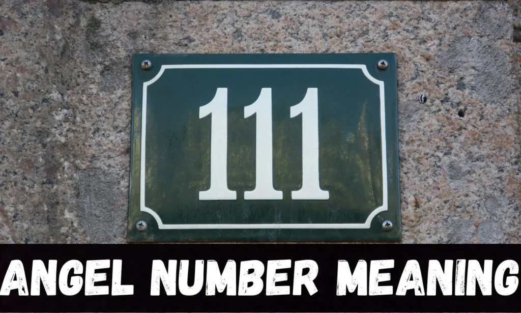 111 angel number meaning