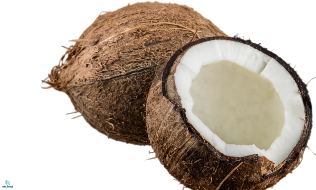 Nuca de Cocos Fred Nu Mai Mult